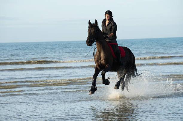 "Magnifique 2 Pieces " 150M Plages Et 500M Centre De Cabourg Dış mekan fotoğraf
